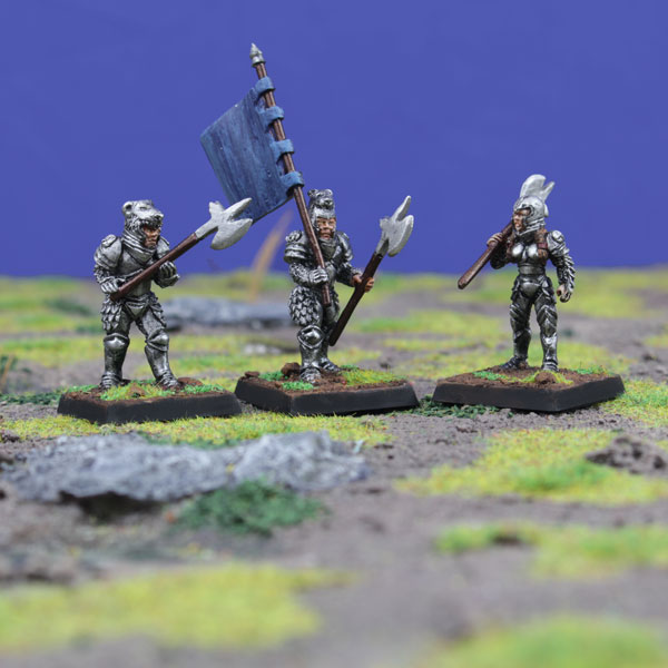 Human Knight, Standard Bearer & Retinue