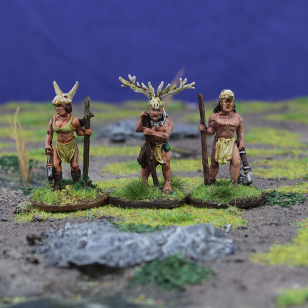 Human Druid & Acolytes