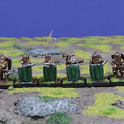 Dwarf Warriors with Crossbows